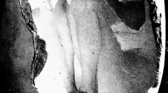 Hogyan lehet szaporodni a dinoszauruszok?